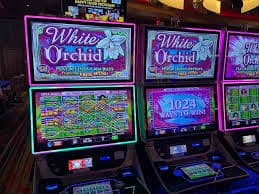 Multi-sport betting dashboard interface